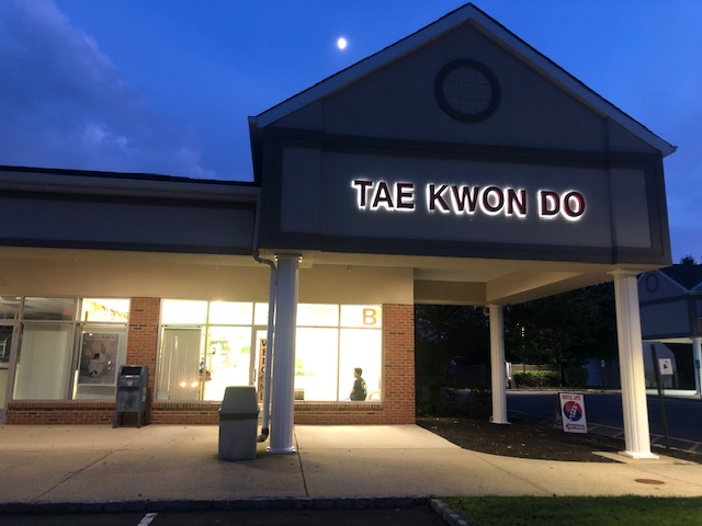 Lees Tae Kwon Do | 220 Triangle Rd, Hillsborough Township, NJ 08844 | Phone: (908) 369-6423