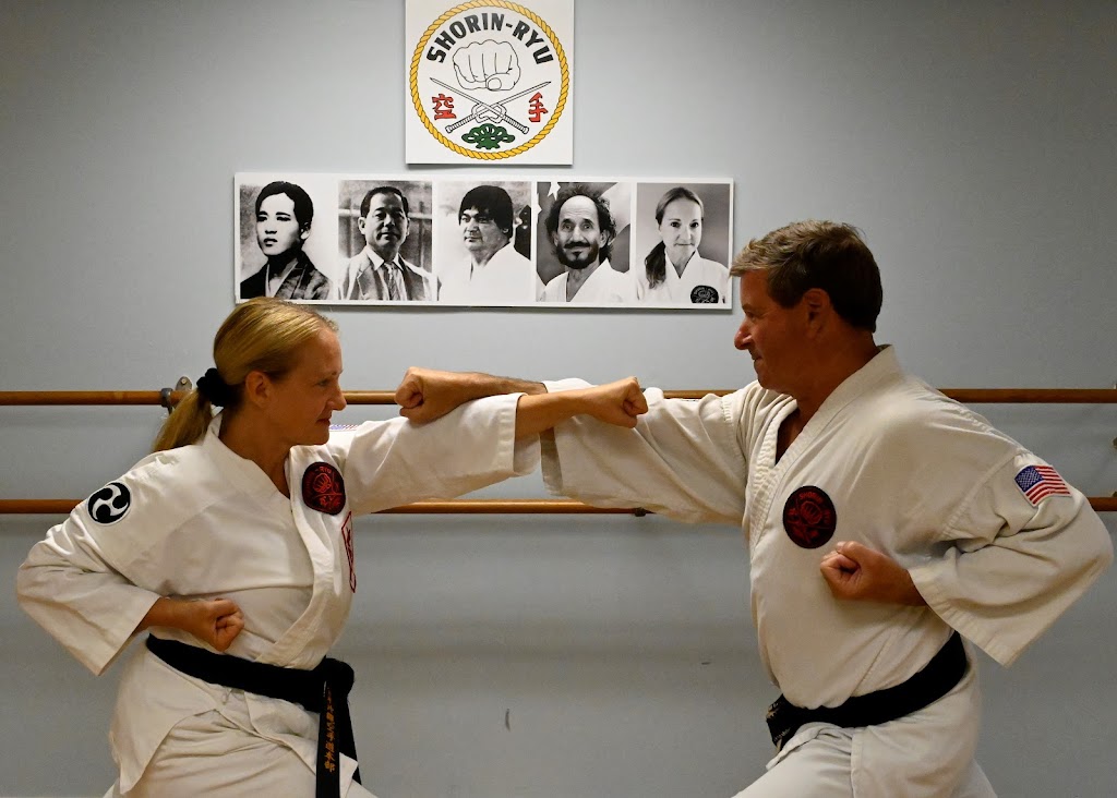 Long Island Karate Dojo | 4 Seville Pl, Massapequa Park, NY 11762 | Phone: (516) 313-3228