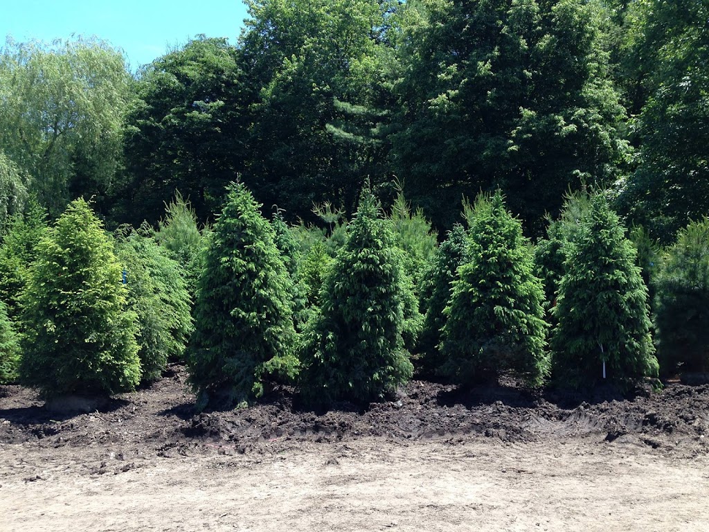 Roth Nursery Inc | 42 N Greenwich Rd, Armonk, NY 10504 | Phone: (914) 273-8399