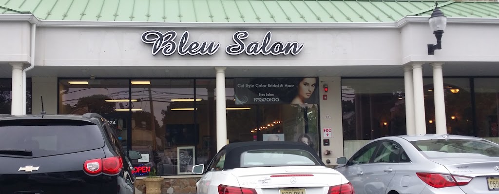 BLEU SALON | 974 Tabor Rd, Morris Plains, NJ 07950 | Phone: (973) 267-0100