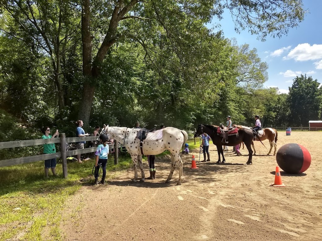 Babcock Hill Horses Naturally | 577 Babcock Hill Rd, Coventry, CT 06238 | Phone: (860) 985-7611