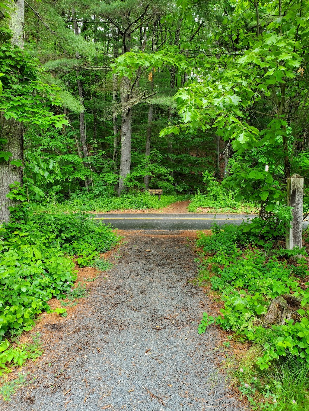 Matthies Grove | Peoples State Forest, 106 E River Rd, Barkhamsted, CT 06063 | Phone: (860) 379-2469