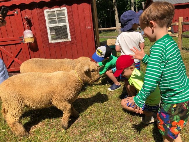 Country Kids Schoolhouse | 1 Country Kids Ln, Bedford, NY 10506 | Phone: (914) 234-0590