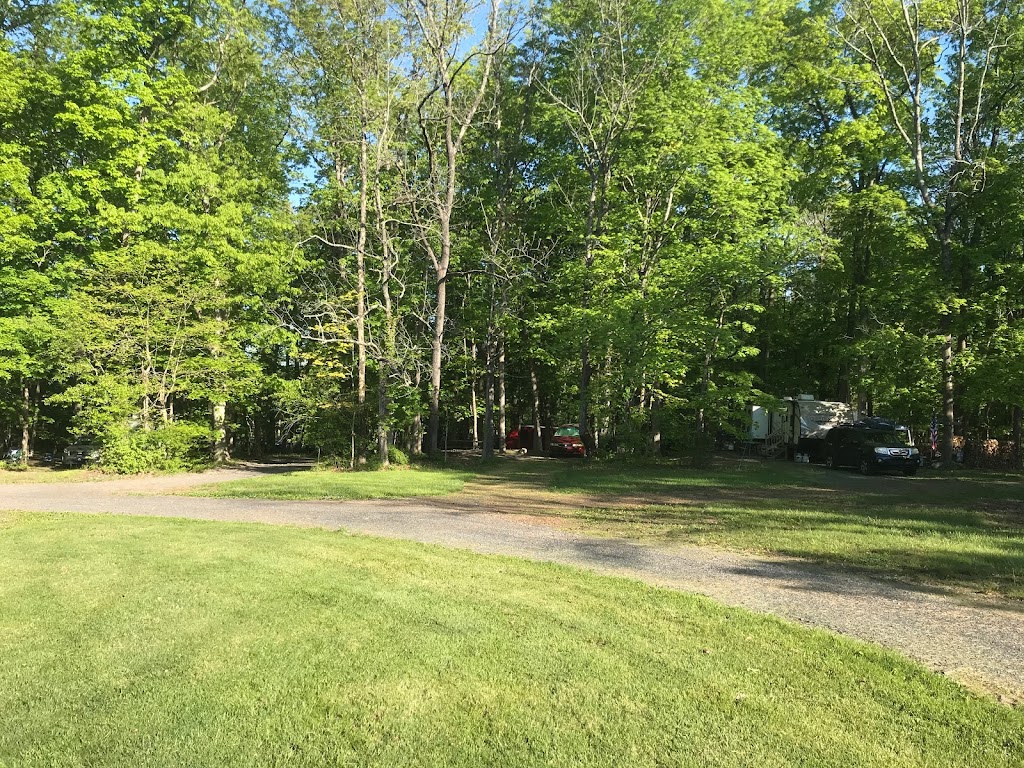 Beaver Valley Campgrounds | 80 Clay Ridge Rd, Ottsville, PA 18942 | Phone: (610) 847-5643