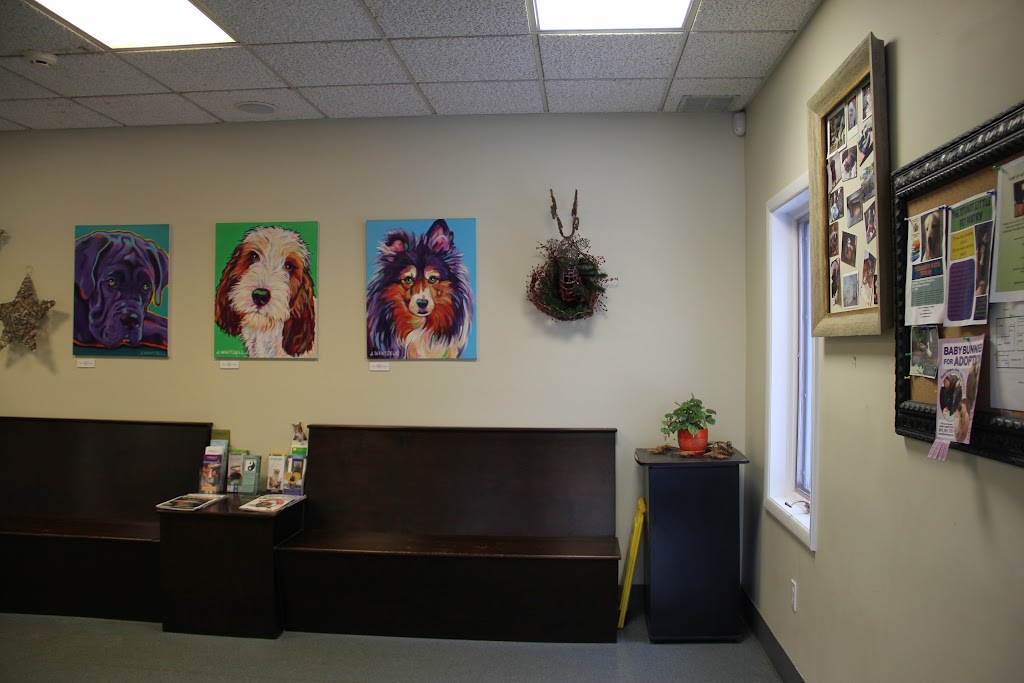 Monroe Animal Hospital | 427 NY-17M, Monroe, NY 10950 | Phone: (845) 782-8621