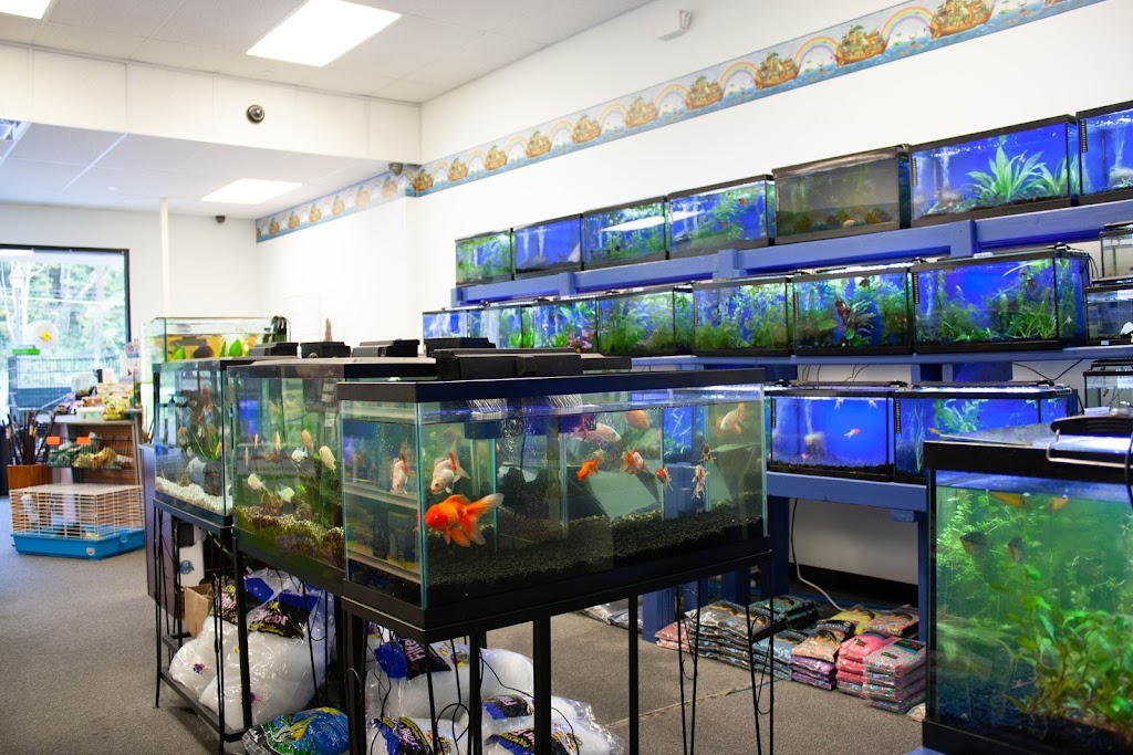 Noahs Ark Aquarium & Pet Shop | 31 NY-22, Pawling, NY 12564 | Phone: (845) 493-0642