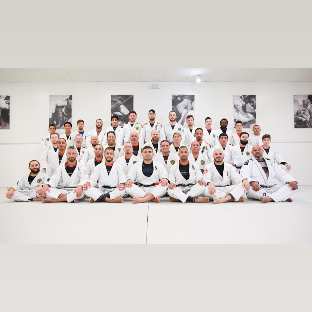 Hillsborough Brazilian Jiu-Jitsu | 15 Ilene Ct STE 13, Hillsborough Township, NJ 08844 | Phone: (201) 320-0640