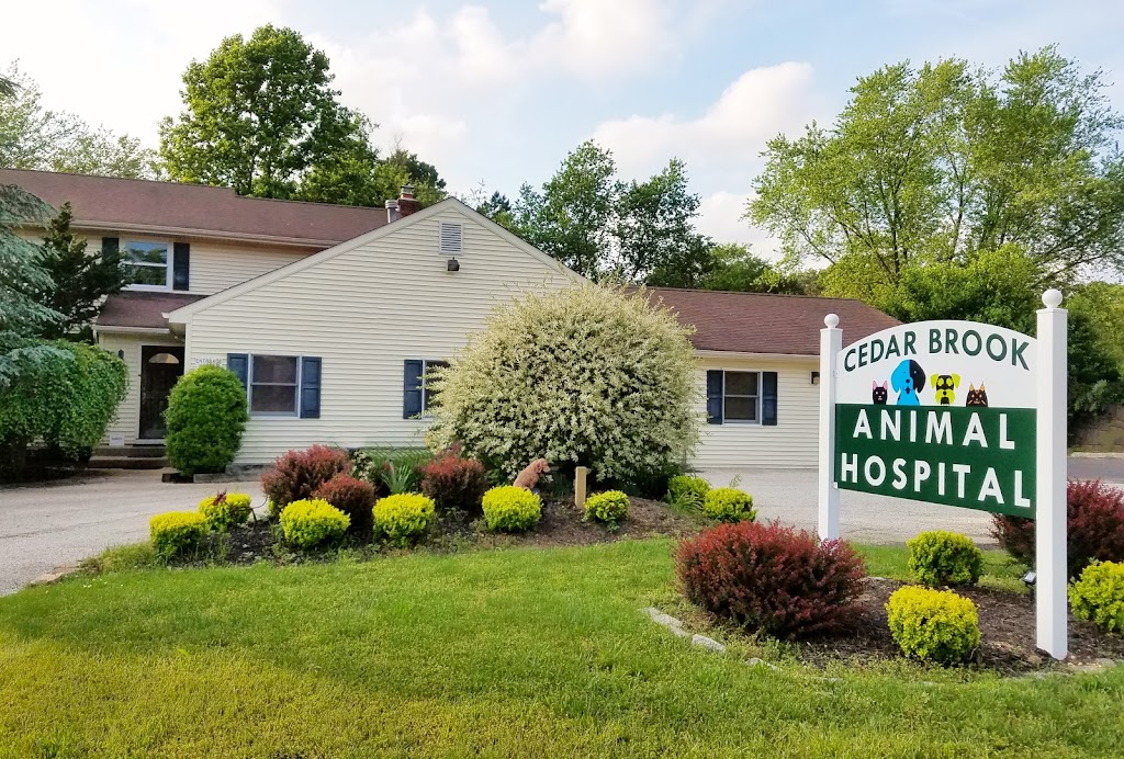 Cedar Brook Animal Hospital | 223 Cedarbrook Rd, Sicklerville, NJ 08081 | Phone: (856) 629-7177