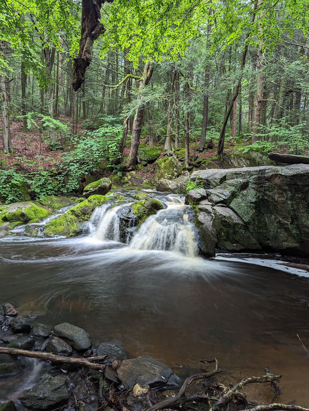 Enders State Forest | Granby, CT 06035 | Phone: (860) 424-3200