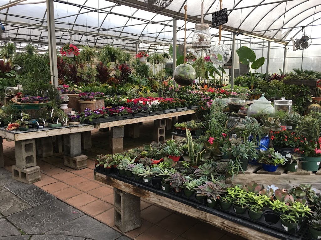 McNaughtons Garden Center and Landscaping | 351 Kresson Rd, Cherry Hill, NJ 08034 | Phone: (856) 429-6745