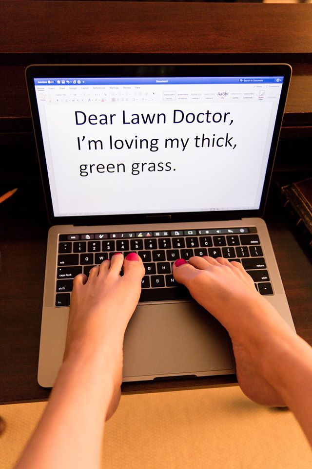 Lawn Doctor of Middletown-Groton-Tolland-Torrington | 251 Middle St, Middletown, CT 06457 | Phone: (203) 951-3221