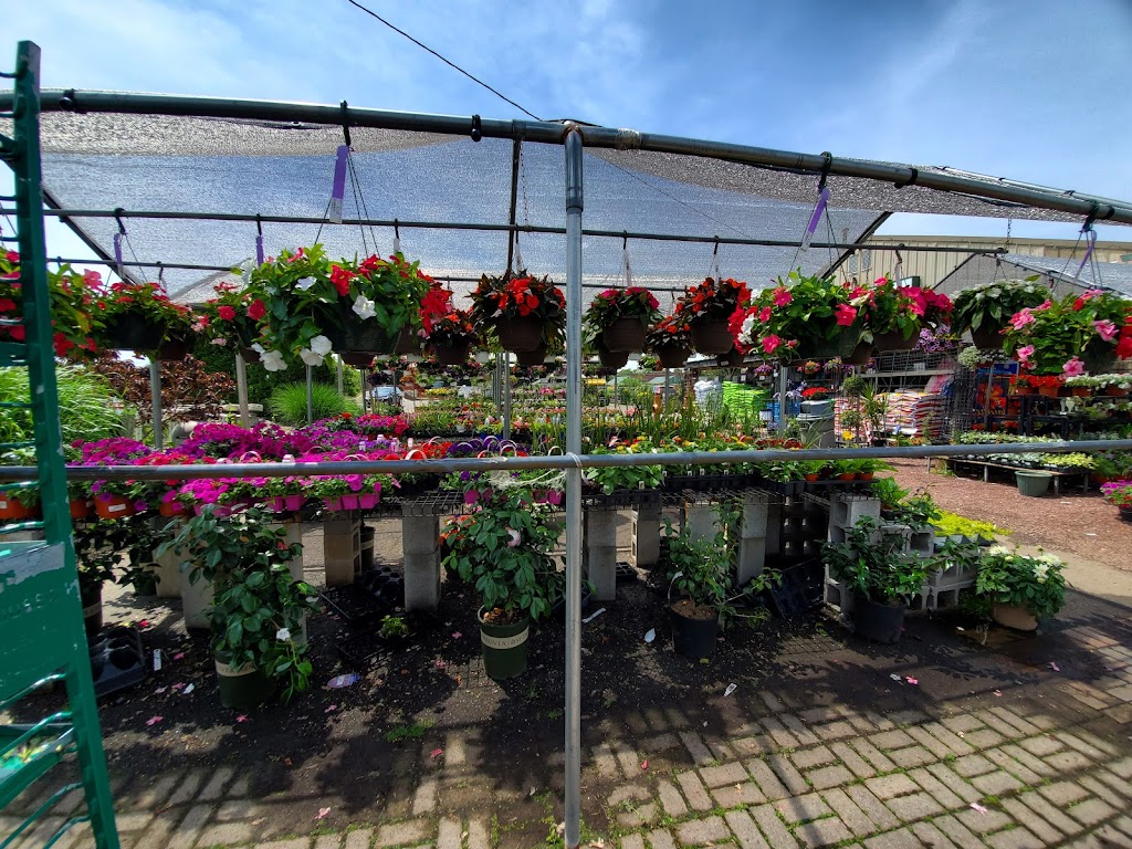 Amatos Garden Center Nursery | 47 Deans Rhode Hall Rd, Monmouth Junction, NJ 08852 | Phone: (732) 297-6790