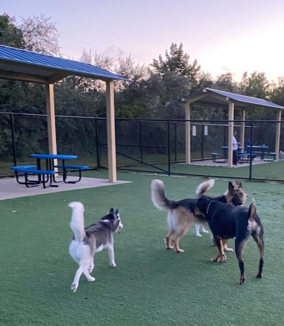 Town of Hempstead Dog Park | 2858 Shore Rd, Bellmore, NY 11710 | Phone: (516) 489-5000