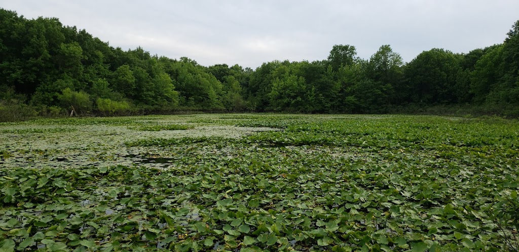 Clay Pit Ponds State Park | 83 Nielsen Ave, Staten Island, NY 10309 | Phone: (718) 967-1976
