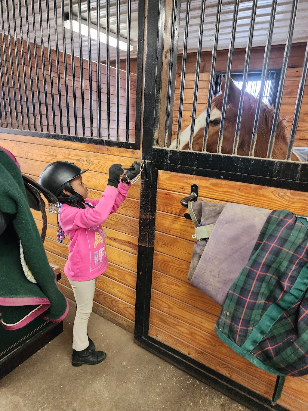 South Horse Stables | Bedford, NY 10506 | Phone: (917) 421-9787
