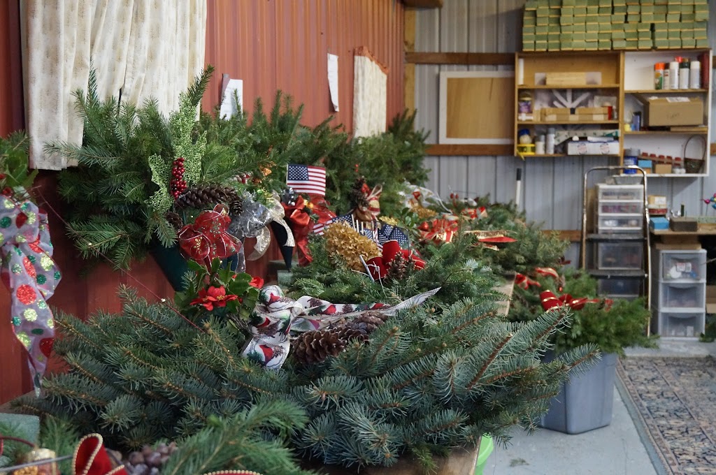 Three Kings Christmas Tree Farm | 117 Arneytown-Hornerstown Rd, Allentown, NJ 08501 | Phone: (609) 758-3097