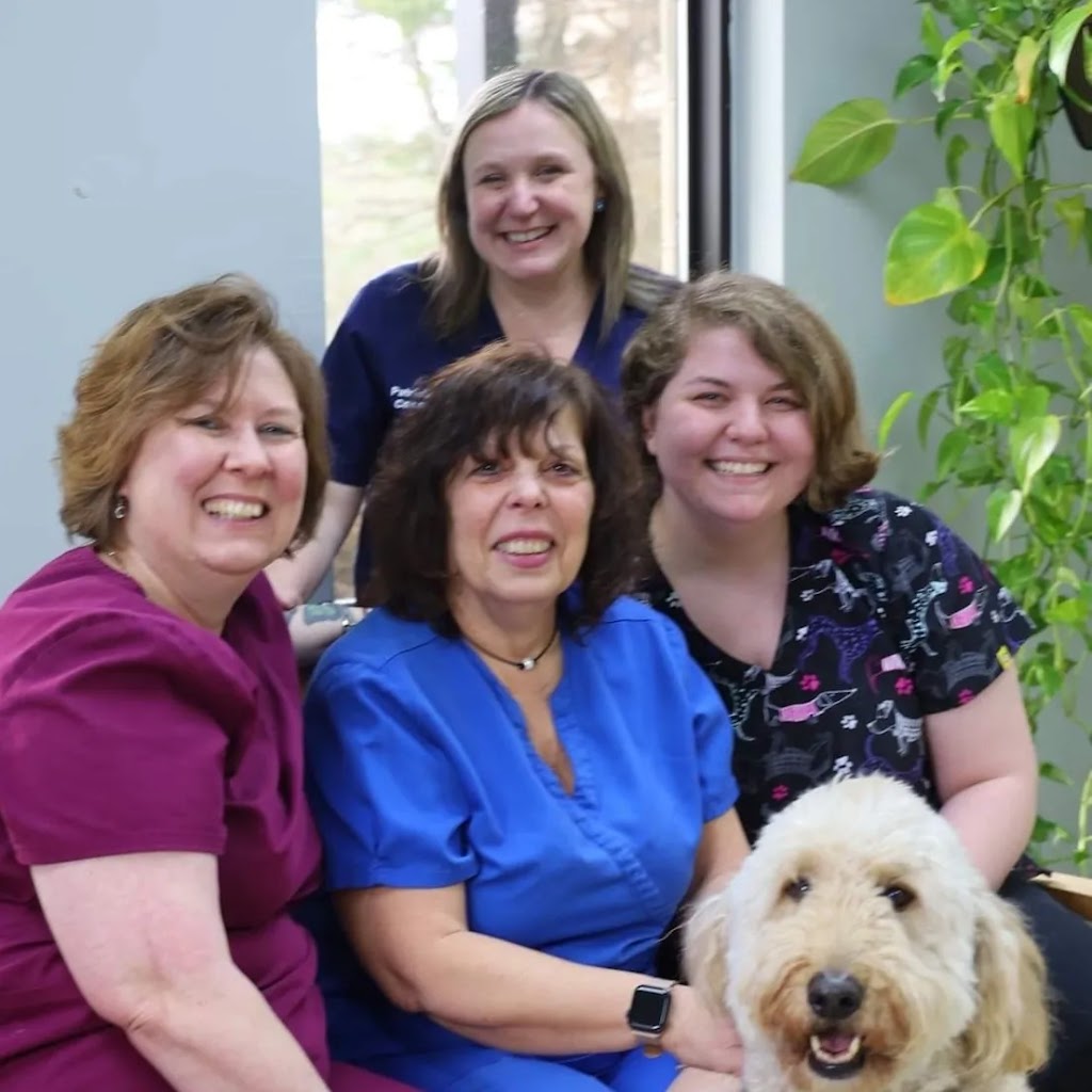 Companion Care Animal Clinic | 480 County Rd 520, Marlboro, NJ 07746 | Phone: (732) 946-8339