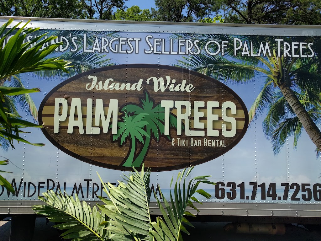 Island Wide Palm Trees | 2956 NY-112, Medford, NY 11763 | Phone: (631) 714-7256