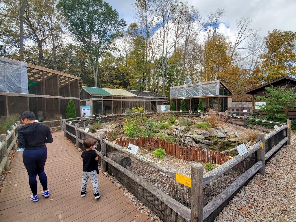Roaring Brook Nature Center | 70 Gracey Rd, Canton, CT 06019 | Phone: (860) 693-0263