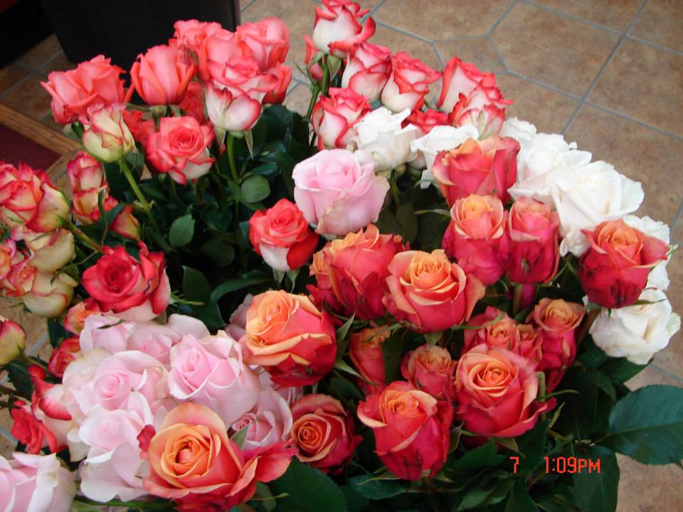 Randolph Florist/Doug The Florist | Turn Pike, 1076 Sussex Turnpike, Randolph, NJ 07869 | Phone: (973) 366-2364