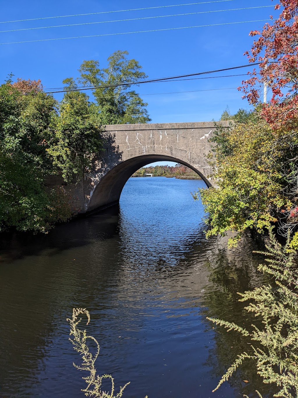 U.S. Fish & Wildlife Services | Long Island National Wildlife Refuge Complex Visitor Center, 340 Smith Rd, Shirley, NY 11967 | Phone: (631) 286-0485