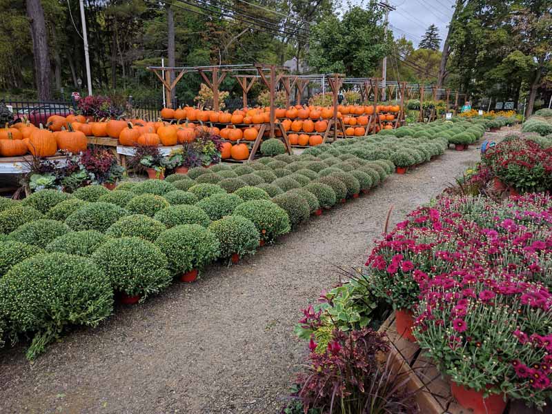 Country Mile Gardens | 1108 Mt Kemble Ave, Morristown, NJ 07960 | Phone: (973) 425-0088