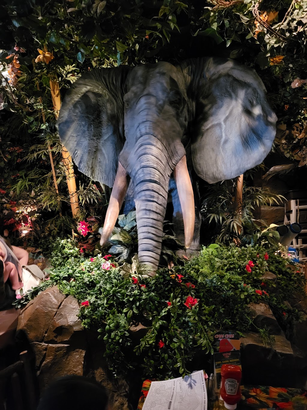 Rainforest Cafe | 2201 Boardwalk, Atlantic City, NJ 08401 | Phone: (609) 345-5757