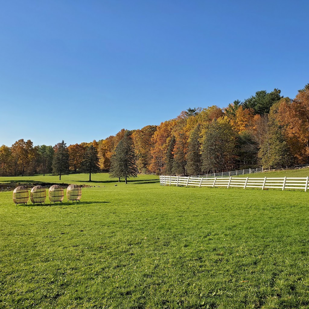 Pine Ridge Farm, LLC | 217 Plattekill Rd, Greenville, NY 12083 | Phone: (518) 966-5233