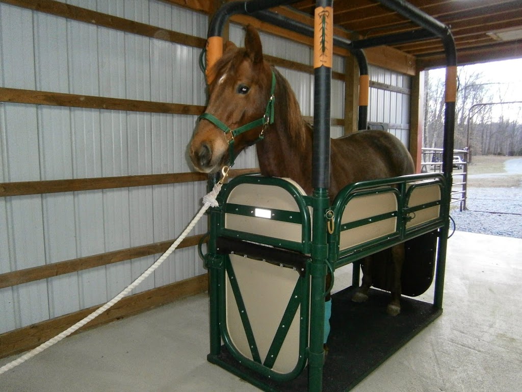 Woods End Equine Veterinary Services | 67 Rose Morrow Rd, Sussex, NJ 07461 | Phone: (973) 209-4994