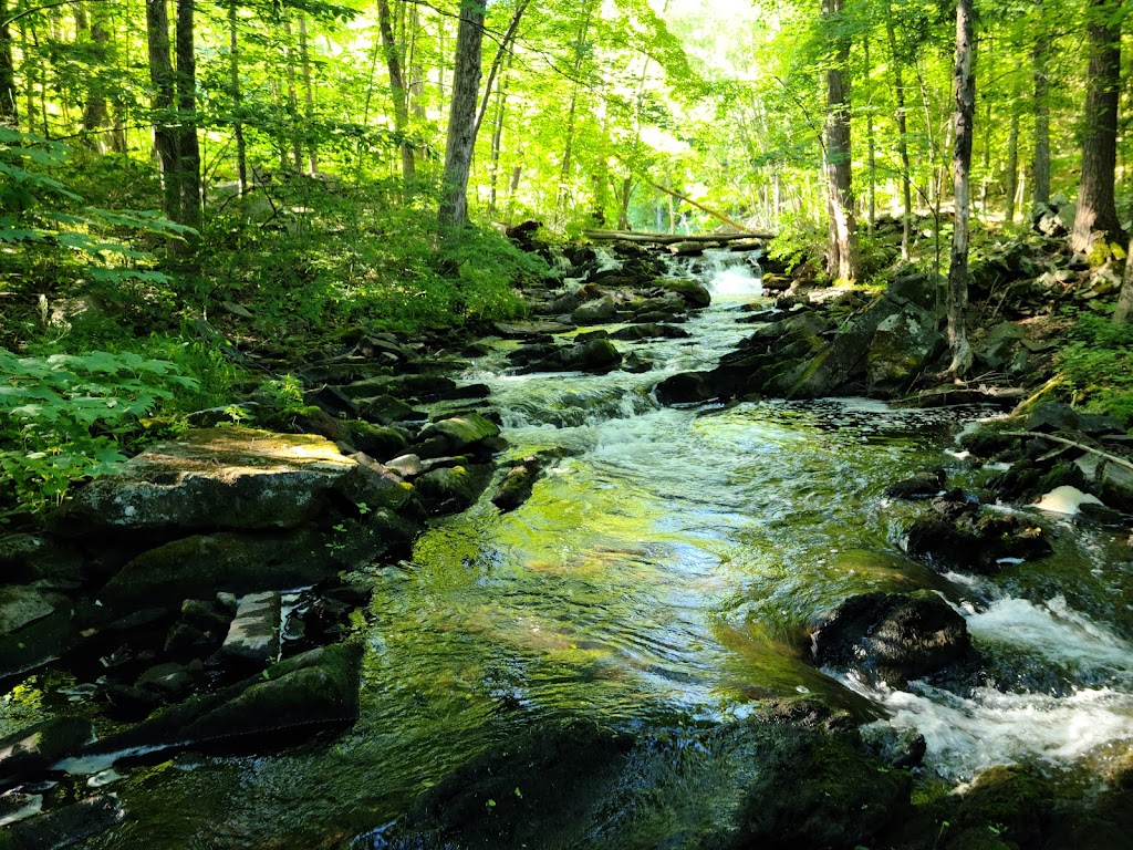 Black Creek State Forest | Timber Line Trail, Highland, NY 12528 | Phone: (845) 256-3076