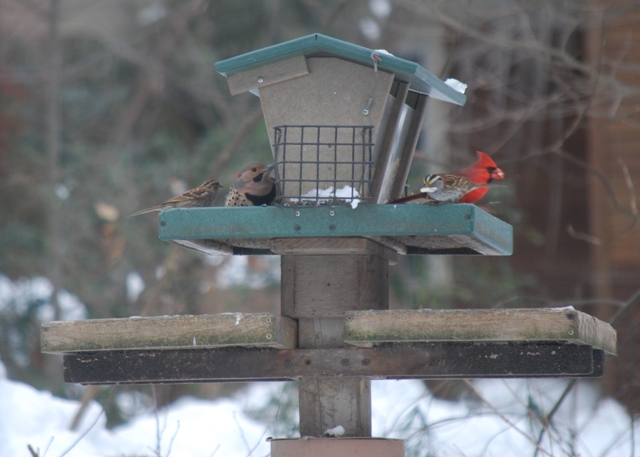 Briar Bush Nature Center | 1212 Edge Hill Rd, Abington, PA 19001 | Phone: (215) 887-6603