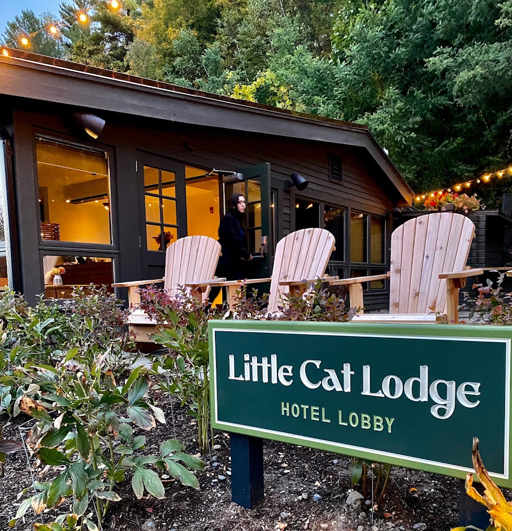 Little Cat Lodge | 37 Catamount Rd, Hillsdale, NY 12529 | Phone: (518) 660-8338