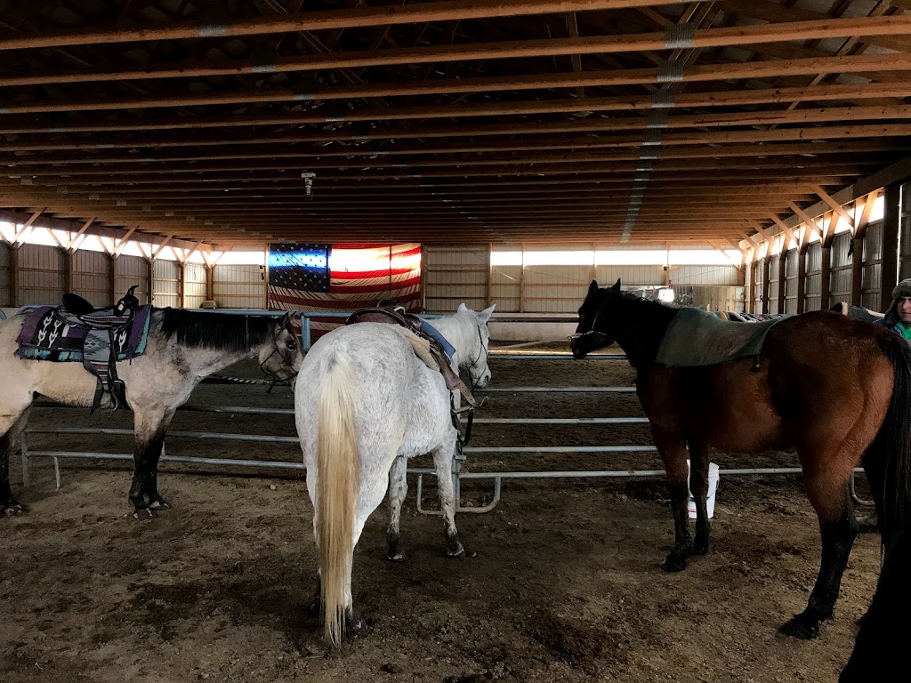 Serene Horse Ranch | 61 Co Rd 560, Branchville, NJ 07826 | Phone: (201) 841-9754