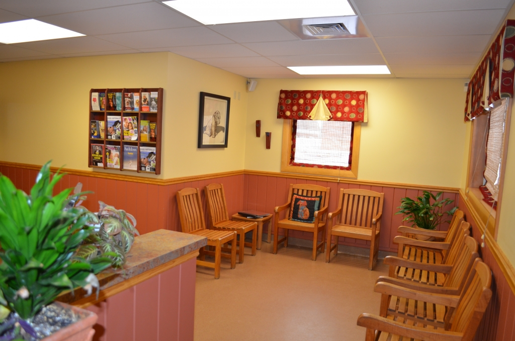 Manchester Veterinary Clinic | 156 Spencer St, Manchester, CT 06040 | Phone: (860) 646-5170