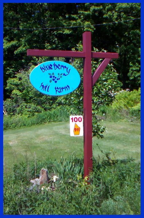 Blueberry Hill Farm | was 100 East, 358 East St, Mt Washington, MA 01258 | Phone: (413) 528-1479