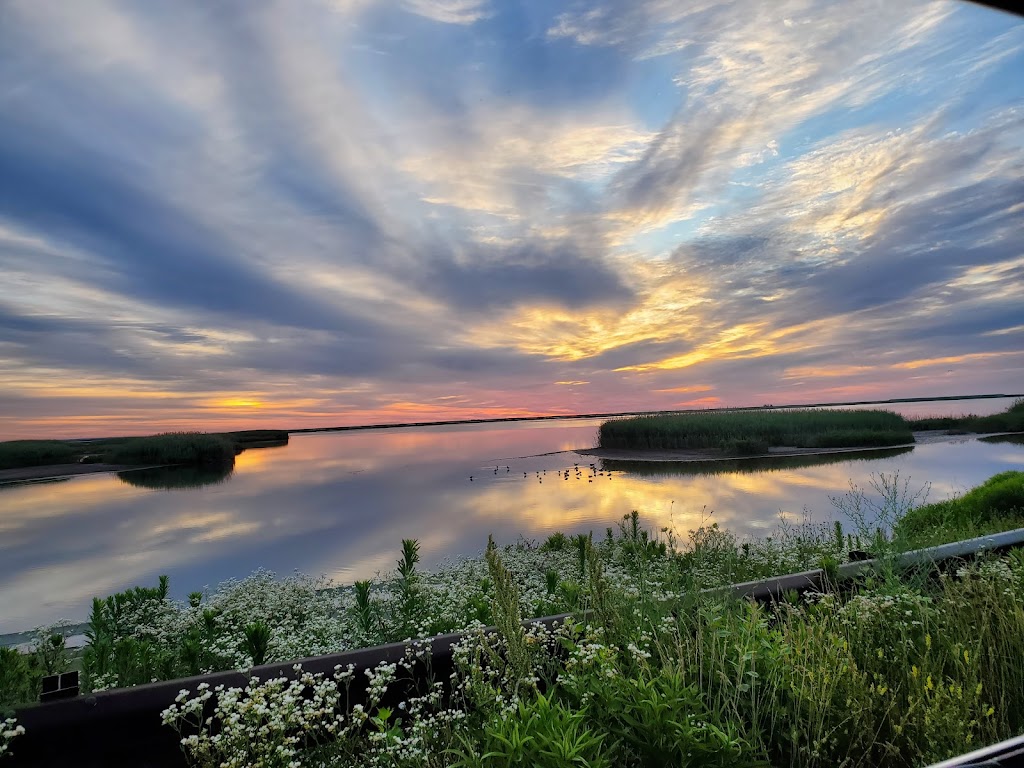 Edwin B. Forsythe National Wildlife Refuge | West Creek, NJ 08092 | Phone: (609) 652-1665