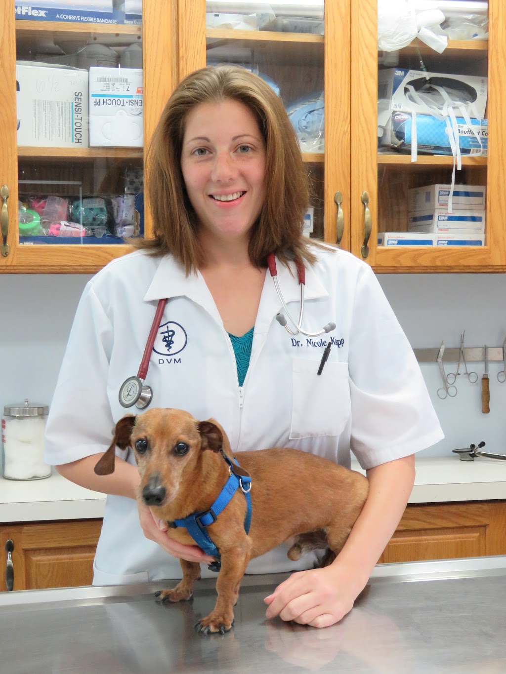 East Fishkill Animal Hospital | 455 NY-82, Hopewell Junction, NY 12533 | Phone: (845) 221-0695