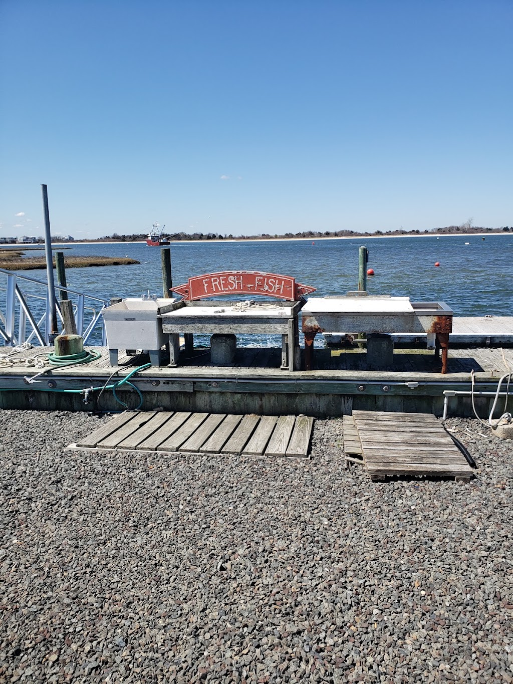 Bobbies Boats Bait & Tackle | 701 Bayview Ave, Barnegat Light, NJ 08006 | Phone: (609) 494-1345