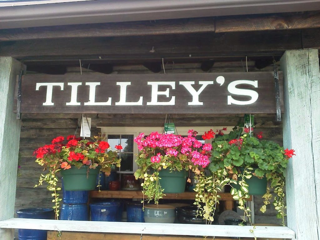 Tilleys Nursey | 111 E Fairmount St, Coopersburg, PA 18036 | Phone: (610) 282-4784