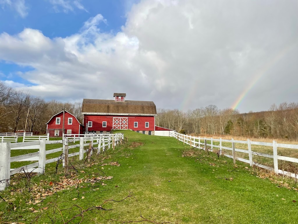 Laughing Fork Farm | 690 New Paltz Rd, Highland, NY 12528 | Phone: (201) 316-7402