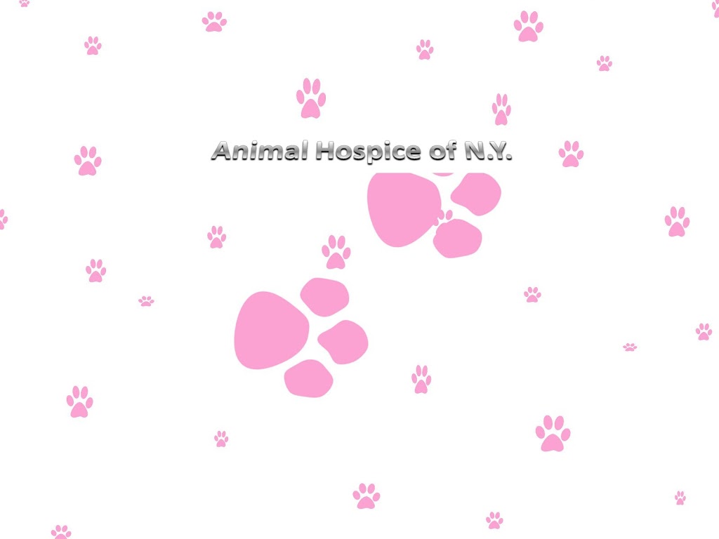 Animal Hospice | Animal Hospice of NY Inc,P0 box 1463 Kingston NY 12402, Saugerties, NY 12477 | Phone: (845) 382-2435