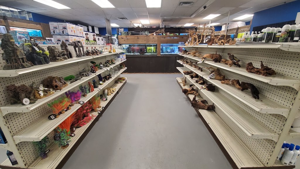 Russells Tropical Fish and Pet | 549 College Hwy Unit A, Southwick, MA 01077 | Phone: (413) 998-3567