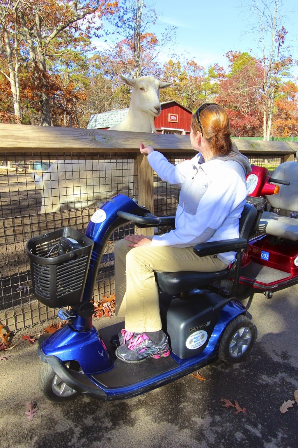 Mobility On Wheels: Cape May County Park & Zoo | 4 Moore Rd, Cape May Court House, NJ 08210 | Phone: (609) 465-0971