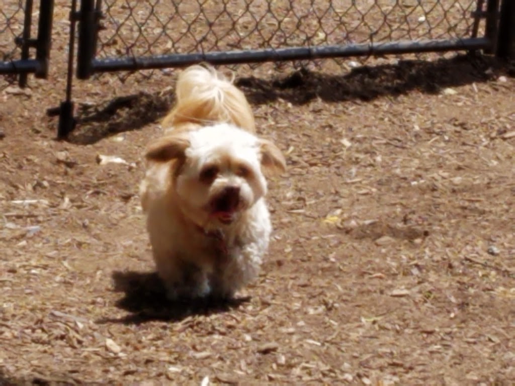 The Enfield Dog Park | Ecology Dr, Enfield, CT 06082 | Phone: (860) 394-6213