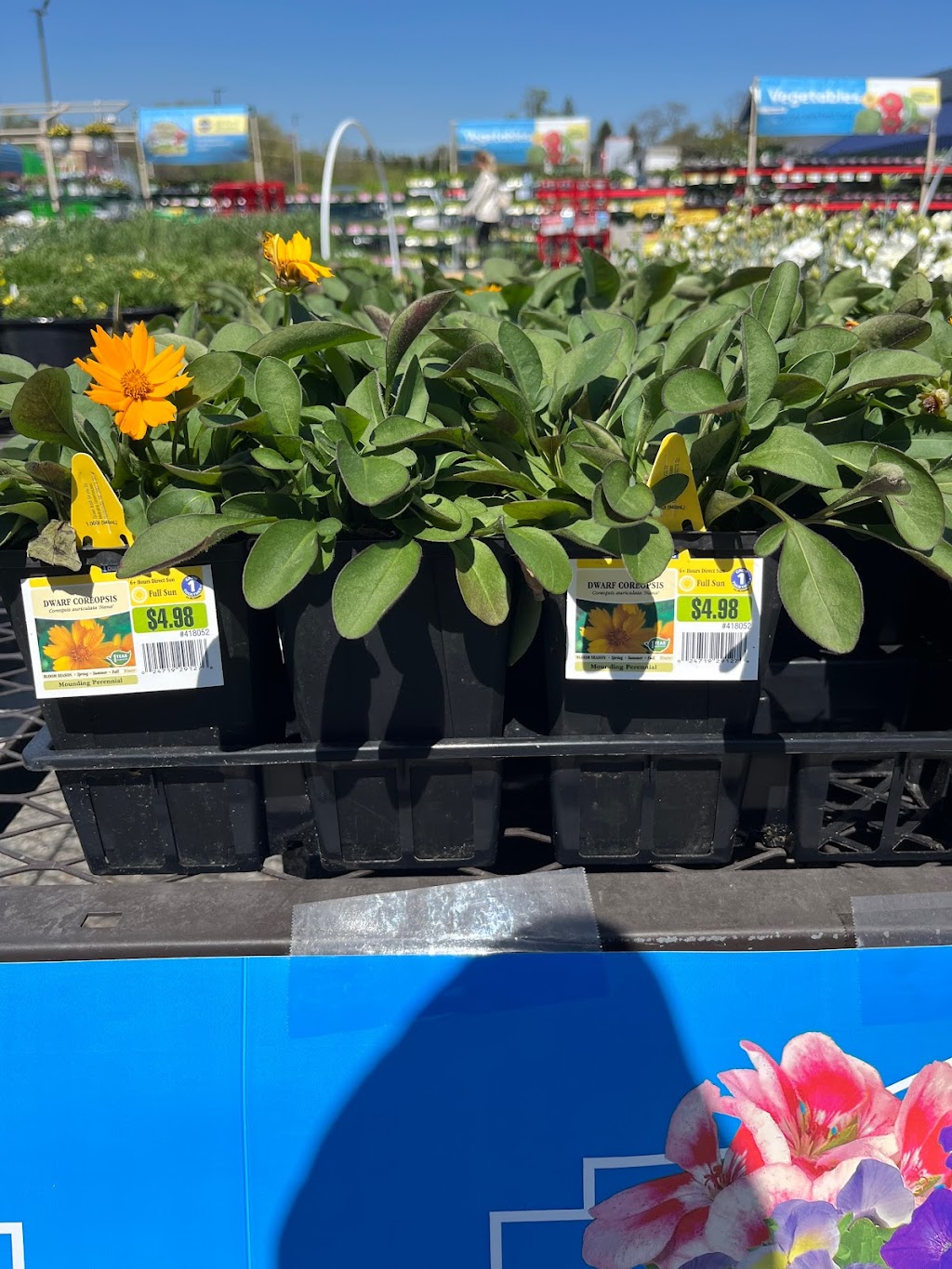 Lowes Garden Center | 5005 Edgmont Ave, Brookhaven, PA 19015 | Phone: (610) 990-8186