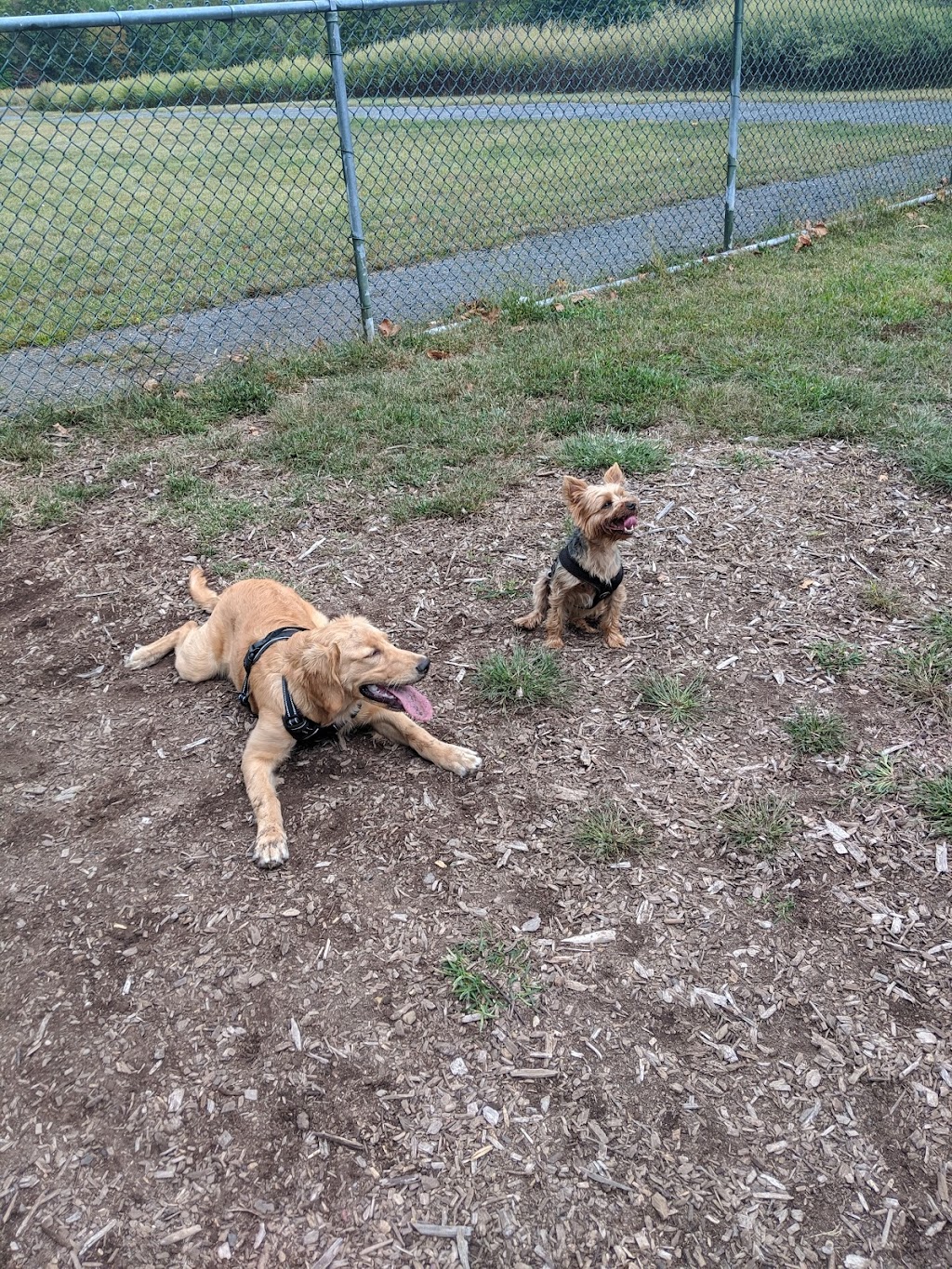 Kennedy Dells Dog Park | Zukor Rd, New City, NY 10956 | Phone: (845) 364-2670