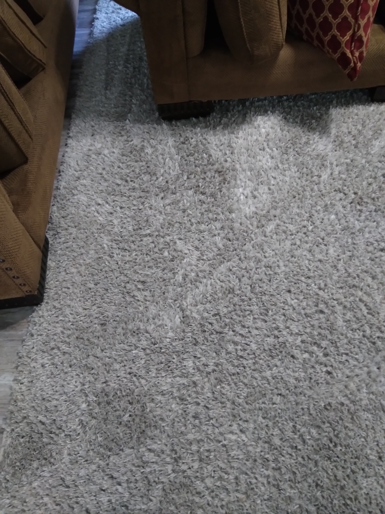 2 Clean Carpets | 1300 S Farmview Dr, Dover, DE 19904 | Phone: (302) 307-2260