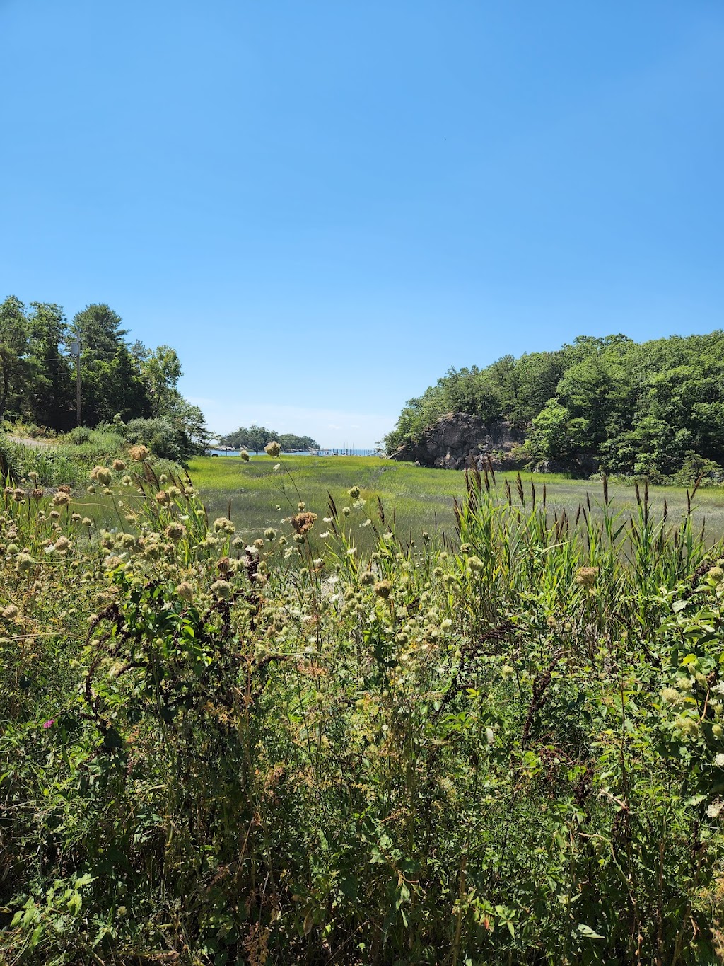 Farm River State Park | 121 Mansfield Grove Rd, East Haven, CT 06512 | Phone: (203) 582-3777