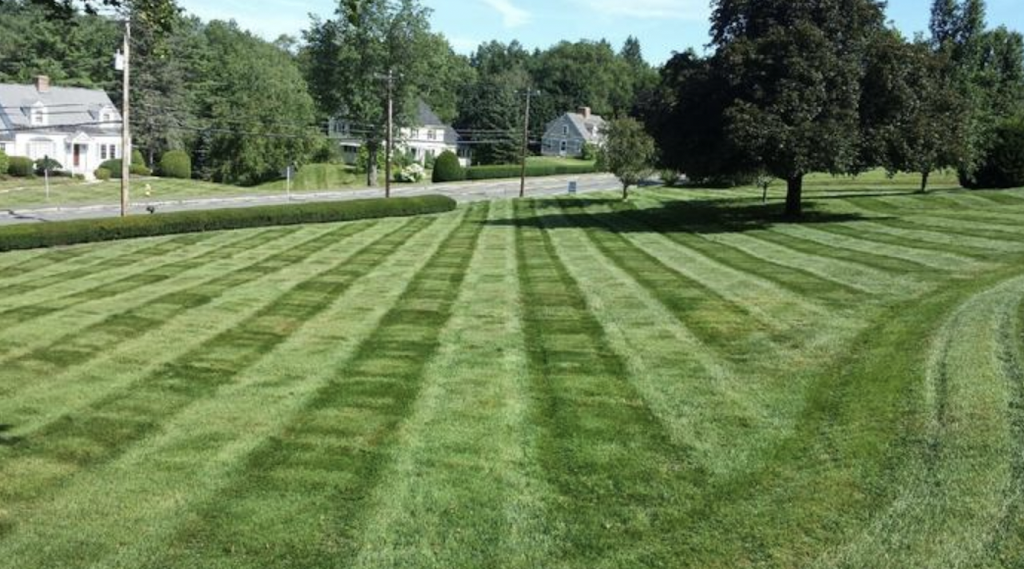 Sharpest Edge Landscaping | 1924 PA-212 Suite 100, Quakertown, PA 18951 | Phone: (610) 333-5618