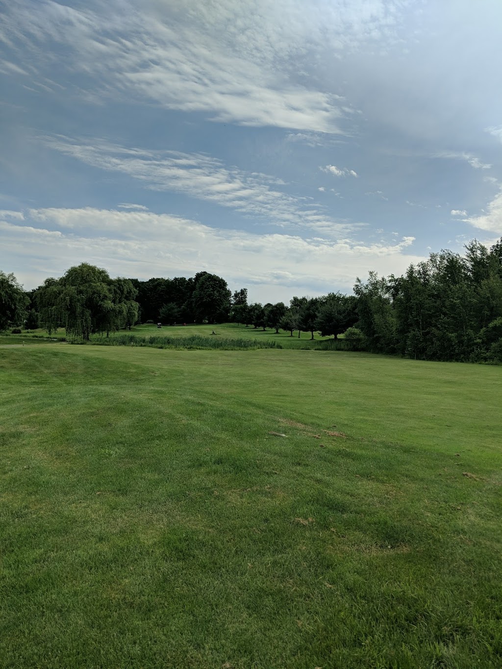 Turtle Creek Golf Course at Garden Cathay | 219 Plattekill Ardonia Rd, Wallkill, NY 12589 | Phone: (845) 564-3220